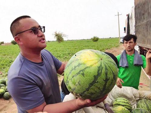 抓马娱乐吃瓜,抓马娱乐吃瓜大揭秘