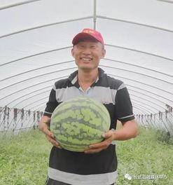 寺寺娱乐吃瓜,揭秘娱乐圈吃瓜背后的真相