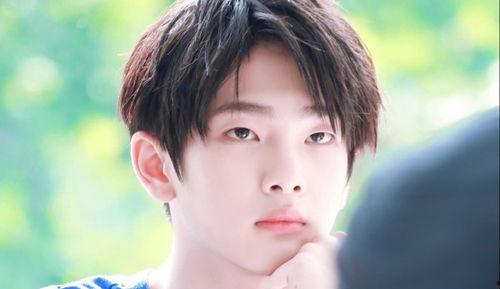 娱乐吃瓜蜀黍白鹿,娱乐吃瓜蜀黍的甜蜜邂逅