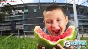 娱乐吃瓜酱男孩发表情包,趣味横生的网络潮流