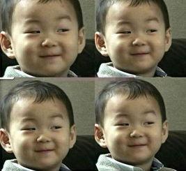 娱乐圈哪里吃瓜最真实的,揭秘幕后真相与幕后黑幕