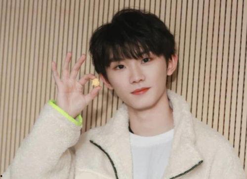 娱乐圈吃瓜马嘉祺是谁的粉丝,娱乐圈吃瓜群众的热议焦点