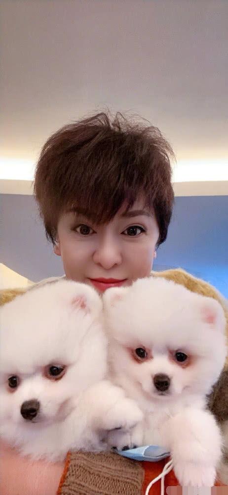 娱乐吃瓜向太郭碧婷,爱情与事业的完美交织