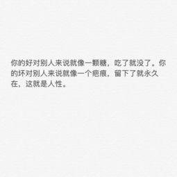 娱乐吃瓜酱经典语录短句,金句频出，笑料不断