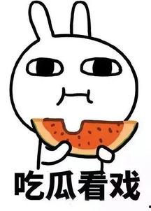 娱乐吃瓜酱上学,揭秘娱乐吃瓜酱上的学生生活